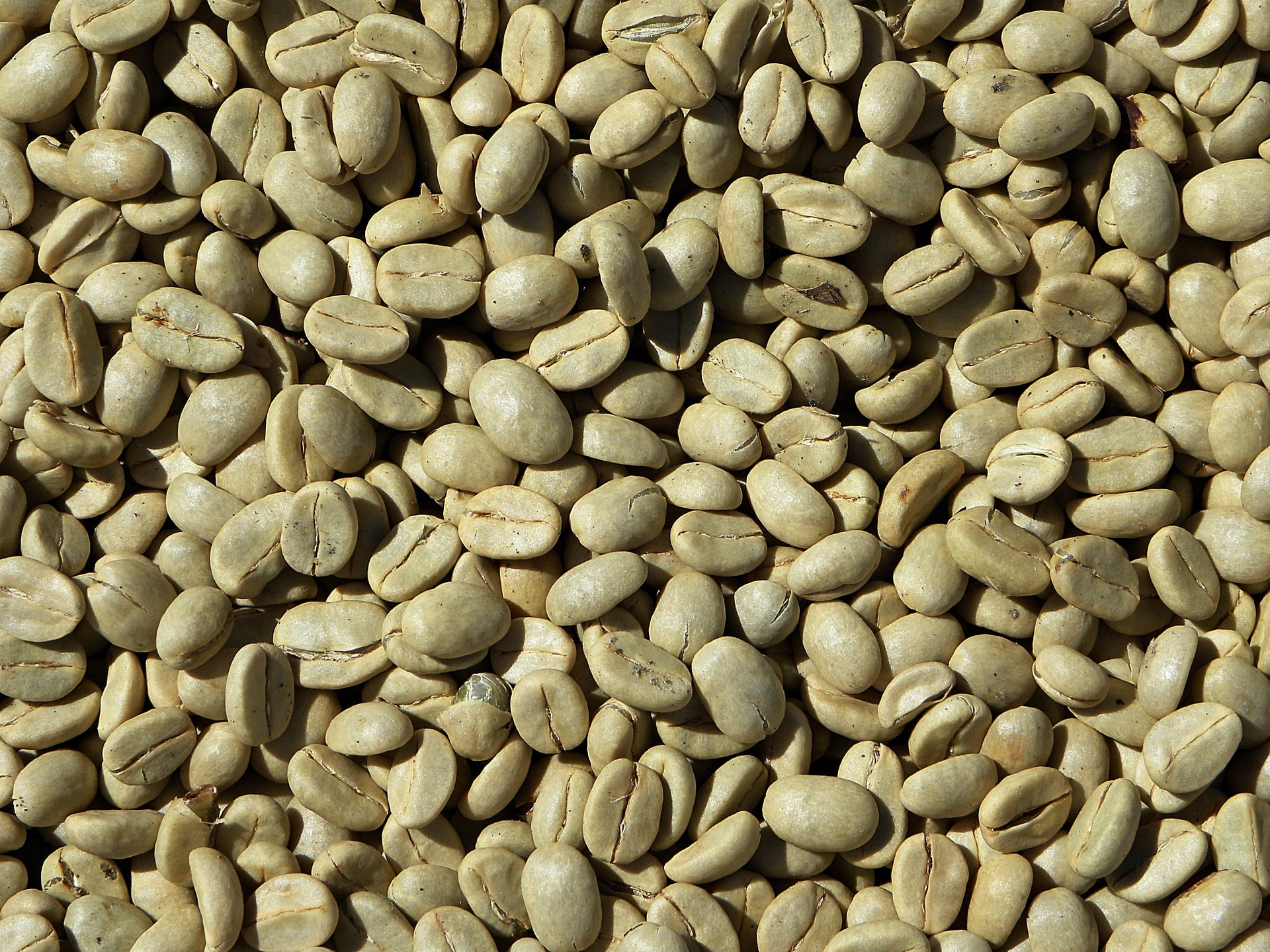 Zrna zelené kávy jsou opravdu velmi tvrdá / zdroj: pixabay.com